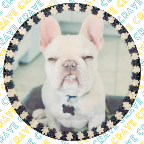 Giant Personalised Photo Cookie - Crave Bakery and Coffeehouses LTD